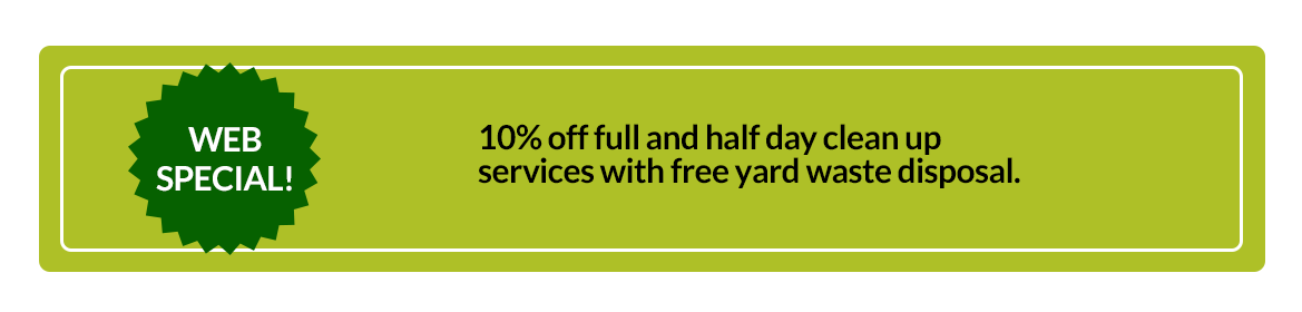 Web Special gives 10% discount on Landscaping Services